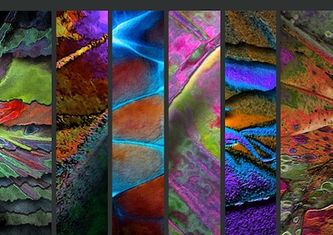 Abstract Cover  --
