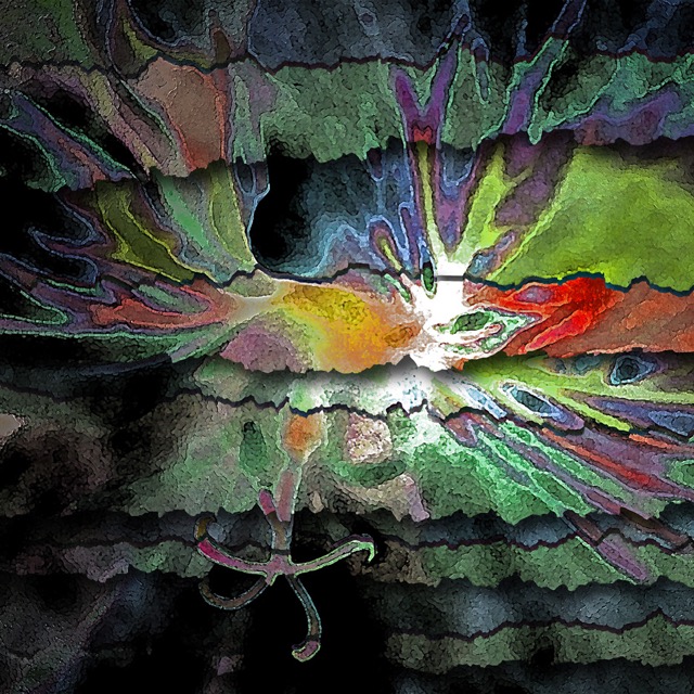 Loading Image